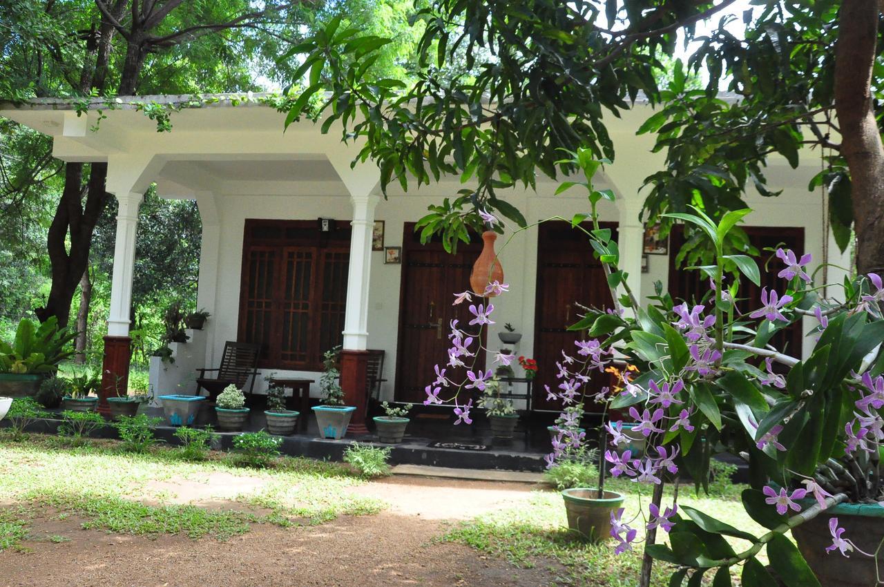 Sigiriya Flower Guest Exteriör bild
